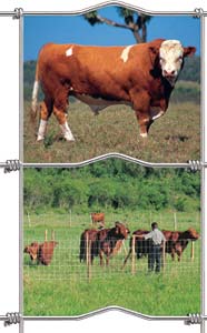 grassland fence 