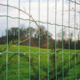 Euro fence