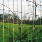 Euro fence