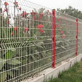 Garden Fence