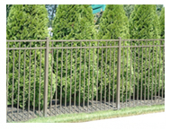 Ornamental Fence