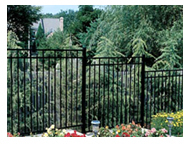 Ornamental Fence