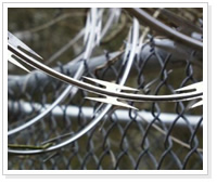 razor barbed wire Fence