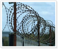 razor barbed wire Fence