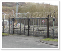 razor barbed wire Fence